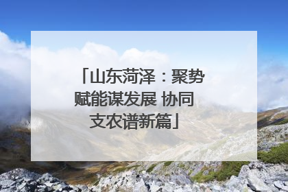 山东菏泽：聚势赋能谋发展 协同支农谱新篇