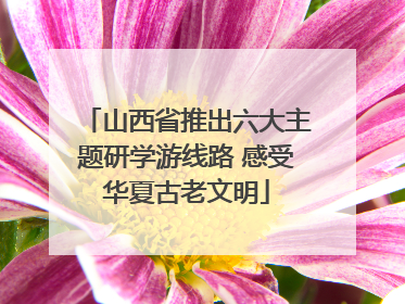 山西省推出六大主题研学游线路 感受华夏古老文明