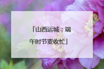 山西运城：端午时节麦收忙