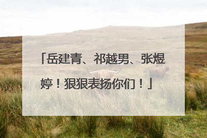 岳建青、祁越男、张煜婷！狠狠表扬你们！