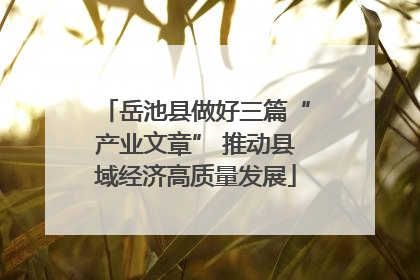 岳池县做好三篇“产业文章” 推动县域经济高质量发展