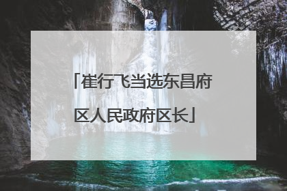 崔行飞当选东昌府区人民政府区长
