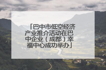 巴中市低空经济产业推介活动在巴中企业（成都）幸福中心成功举办