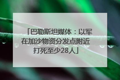 巴勒斯坦媒体：以军在加沙物资分发点附近打死至少28人