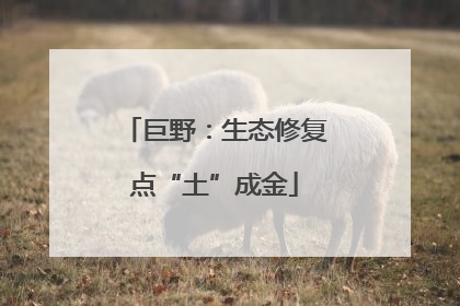 巨野：生态修复点“土”成金