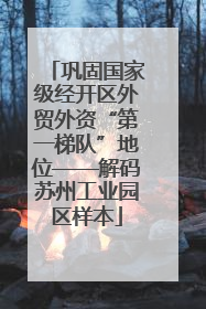 巩固国家级经开区外贸外资“第一梯队”地位——解码苏州工业园区样本