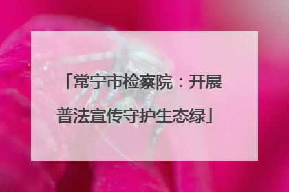 常宁市检察院：开展普法宣传守护生态绿