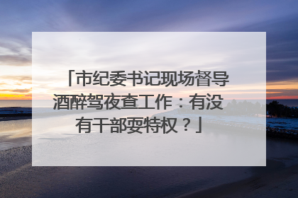 市纪委书记现场督导酒醉驾夜查工作：有没有干部耍特权？