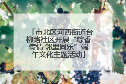 市北区河西街道台柳路社区开展“粽香传情·邻里同乐”端午文化主题活动