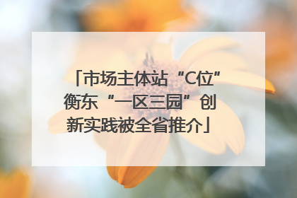 市场主体站“C位” 衡东“一区三园”创新实践被全省推介