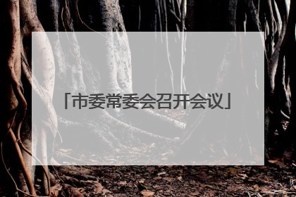 市委常委会召开会议