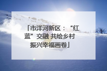市洋河新区：“红蓝”交融 共绘乡村振兴幸福画卷
