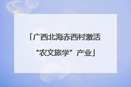 广西北海赤西村激活“农文旅学”产业