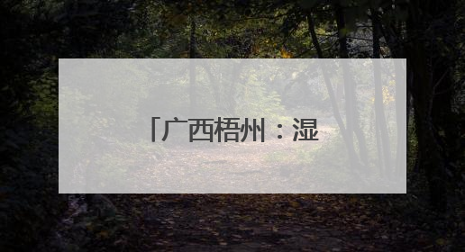 广西梧州：湿地公园夏景美