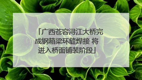 广西苍容浔江大桥完成钢箱梁环缝焊接 将进入桥面铺装阶段