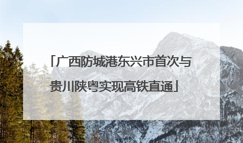 广西防城港东兴市首次与贵川陕粤实现高铁直通