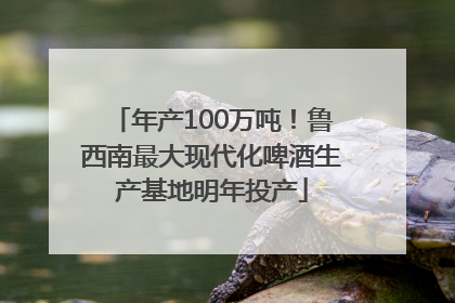 年产100万吨！鲁西南最大现代化啤酒生产基地明年投产