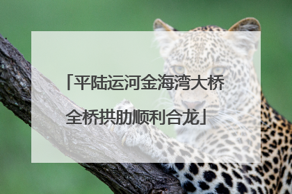 平陆运河金海湾大桥全桥拱肋顺利合龙