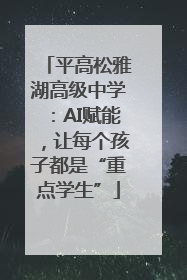 平高松雅湖高级中学：AI赋能，让每个孩子都是“重点学生”