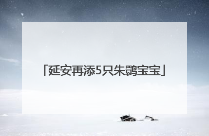 延安再添5只朱鹮宝宝