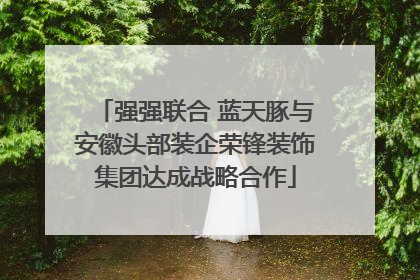 强强联合 蓝天豚与安徽头部装企荣锋装饰集团达成战略合作