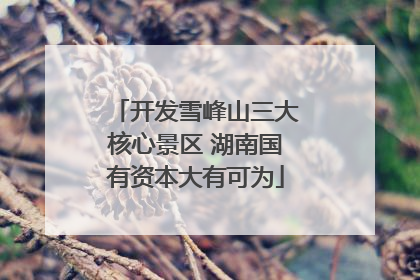 开发雪峰山三大核心景区 湖南国有资本大有可为