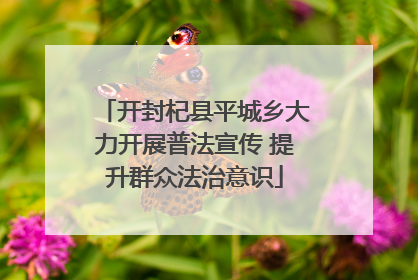 开封杞县平城乡大力开展普法宣传 提升群众法治意识