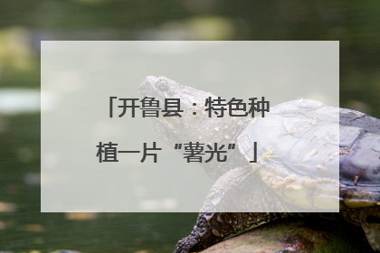 开鲁县：特色种植一片“薯光”