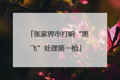 张家界市打响“黑飞”处理第一枪