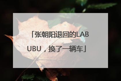 张朝阳退回的LABUBU，换了一辆车