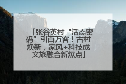 张谷英村“活态密码”引百万客！古村焕新，家风+科技成文旅融合新爆点