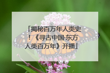 揭秘百万年人类史！《寻古中国·东方人类百万年》开播