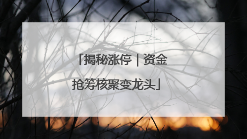 揭秘涨停｜资金抢筹核聚变龙头
