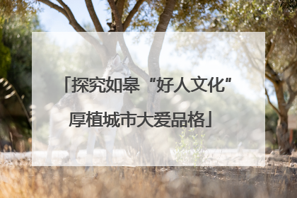 探究如皋“好人文化” 厚植城市大爱品格