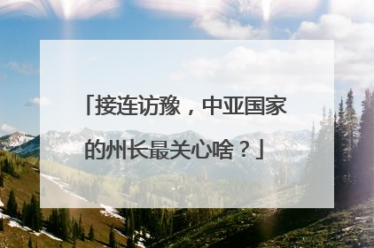 接连访豫，中亚国家的州长最关心啥？