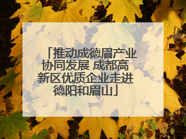 推动成德眉产业协同发展 成都高新区优质企业走进德阳和眉山