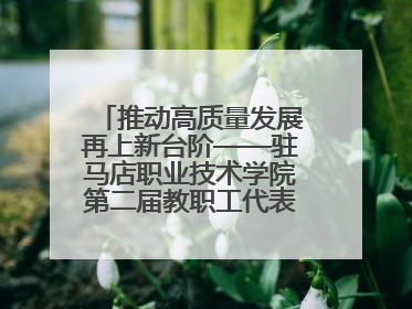 推动高质量发展再上新台阶——驻马店职业技术学院第二届教职工代表大会暨工会会员代表大会第四次会议成功召开
