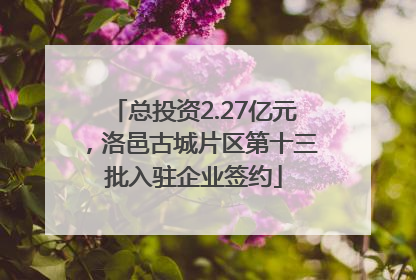 总投资2.27亿元，洛邑古城片区第十三批入驻企业签约