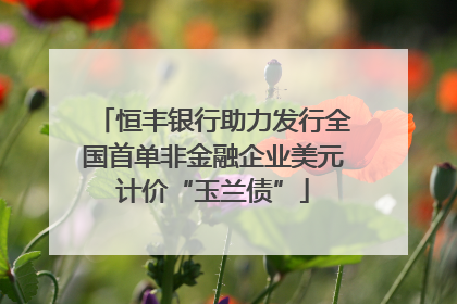 恒丰银行助力发行全国首单非金融企业美元计价“玉兰债”