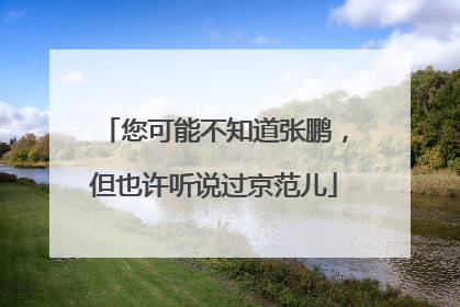 您可能不知道张鹏，但也许听说过京范儿