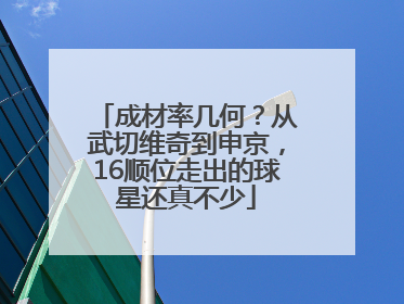 成材率几何？从武切维奇到申京，16顺位走出的球星还真不少