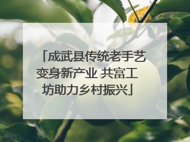 成武县传统老手艺变身新产业 共富工坊助力乡村振兴