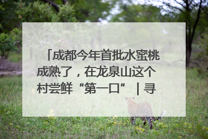 成都今年首批水蜜桃成熟了，在龙泉山这个村尝鲜“第一口”｜寻找和美乡村推荐官