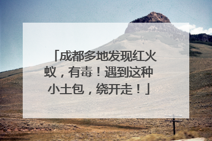 成都多地发现红火蚁，有毒！遇到这种小土包，绕开走！