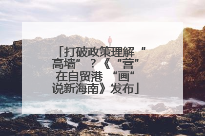 打破政策理解“高墙”？《“营”在自贸港 “画”说新海南》发布