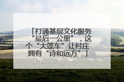 打通基层文化服务“最后一公里”，这个“大篷车”让村庄拥有“诗和远方”