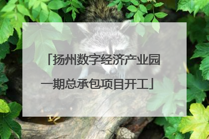 扬州数字经济产业园一期总承包项目开工