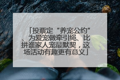 投票定“养宠公约”、为爱宠做牵引绳、比拼谁家人宠最默契，这场活动有趣更有意义