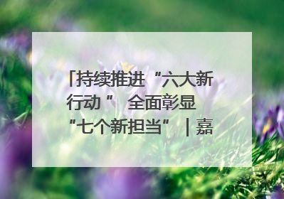 持续推进“六大新行动 ” 全面彰显“七个新担当”｜嘉禾县：加快铸造行业提档升级 助力绿色高质量发展