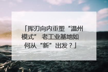 挥刃向内重塑“温州模式” 老工业基地如何从“新”出发？